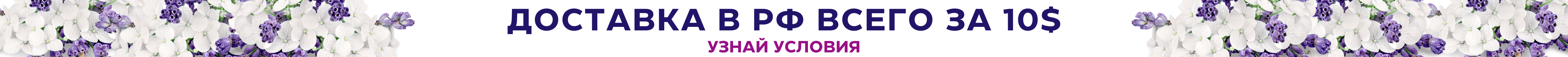 10$ в РФ