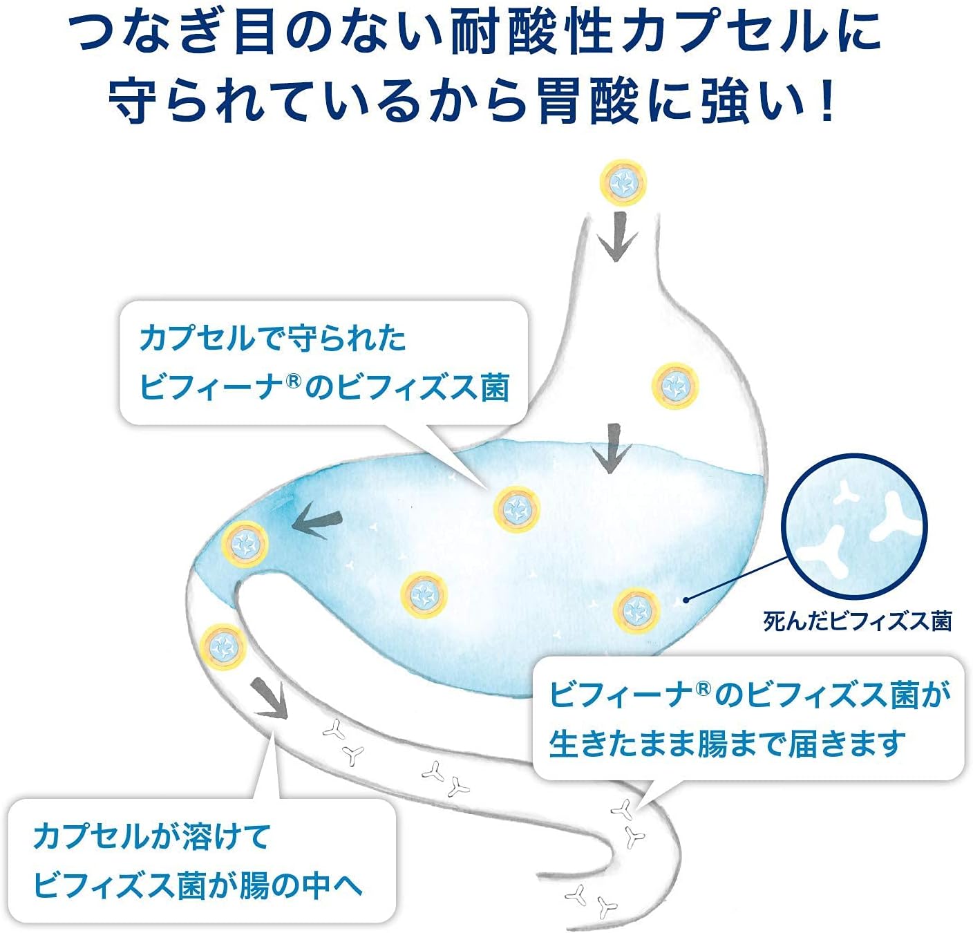 Health Aid Bifina's Encapsulated Bifidobacteria