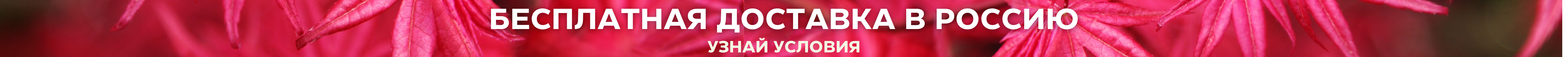 Бесплатно в РФ Бесплатно в РФ