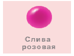 ROHTO SUGAO Jelly Sheer Lip Tint Тинт для губ, 4,7мл, слива розовая – Plumb Pink ROHTO SUGAO Jelly Sheer Lip Tint Тинт для губ, 4,7мл, слива розовая – Plumb Pink