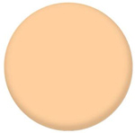 CEZANNE UV Face Powder N powder for the face, tone 00 CEZANNE UV Face Powder N powder for the face, tone 00