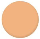 CEZANNE UV Face Powder N powder for the face, tone 02 CEZANNE UV Face Powder N powder for the face, tone 02