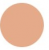 SHISEIDO Qiora D Zone Stick SPF20 PA ++ Concealer, 4gr, tone dark beige SHISEIDO Qiora D Zone Stick SPF20 PA ++ Concealer, 4gr, tone dark beige