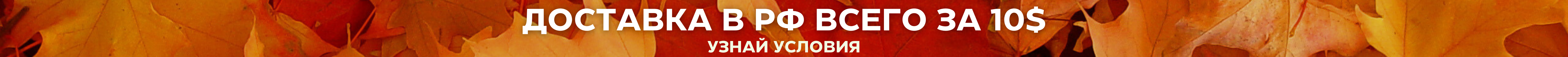 10$ в РФ