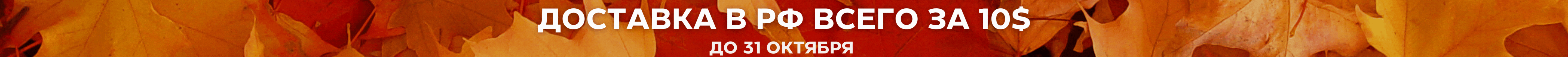 10$ в РФ 10$ в РФ