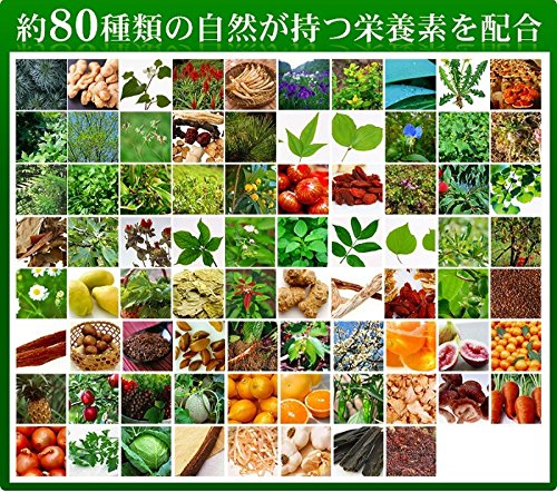 Seedcoms Wild Grass Enzyme for improving metabolism, body cleansing and weight loss, for 3 month