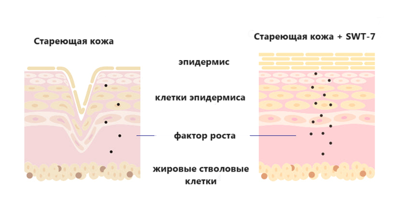 Снимок экрана 2024-06-24 145823.png Снимок экрана 2024-06-24 145823.png