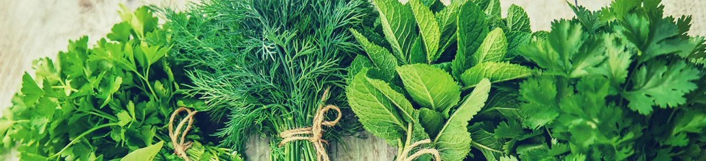 herb.jpg herb.jpg