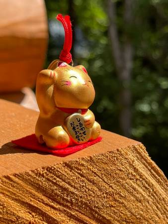 The Colors Variations of Maneki Neko – SAKE.treat