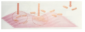 1.png 1.png