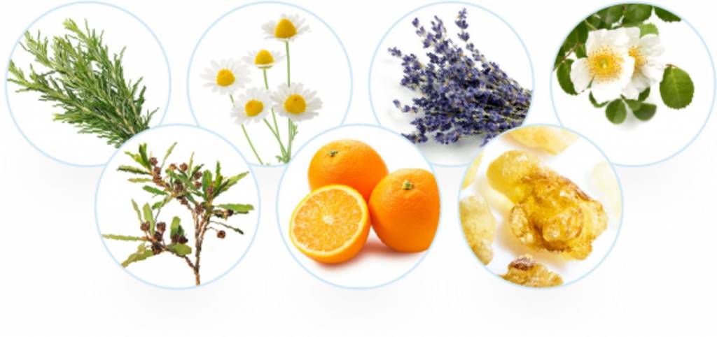 Эфирные масла.jpg Эфирные масла.jpg