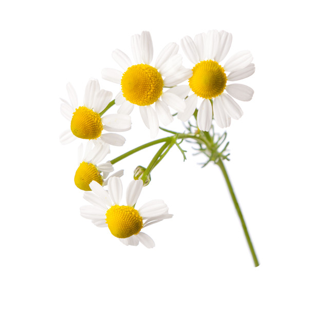 d67650-34-3ecef799d9b2fdf288a5-14.jpg d67650-34-3ecef799d9b2fdf288a5-14.jpg