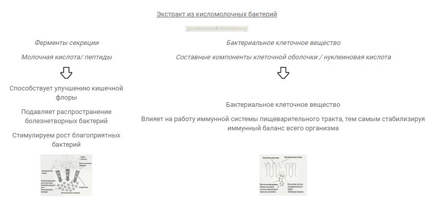 sdвы.png sdвы.png