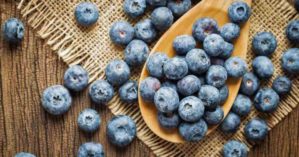 are-blueberries-good-for-your-eyes-1140x600.jpg are-blueberries-good-for-your-eyes-1140x600.jpg