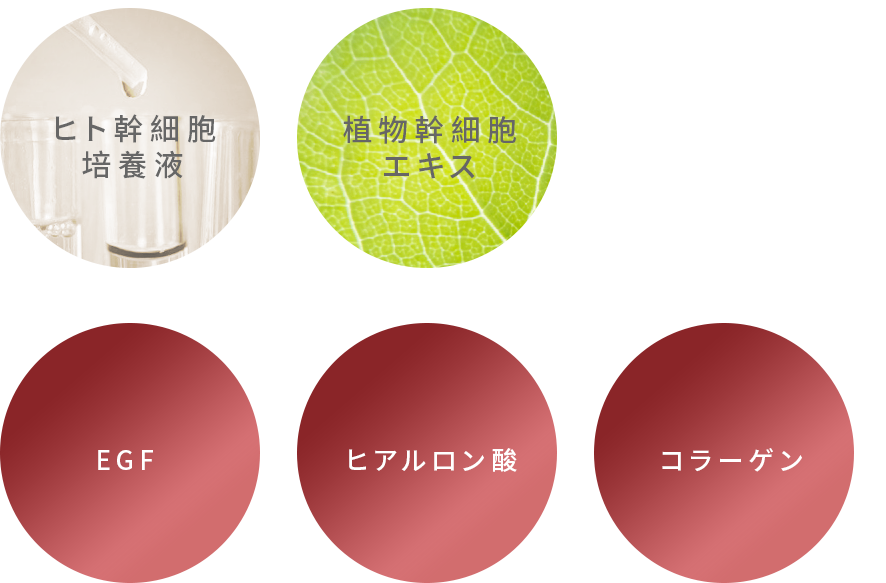 feature02_2.png feature02_2.png