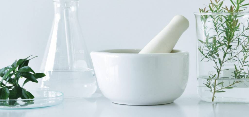 Homeo Beau.jpg Homeo Beau.jpg