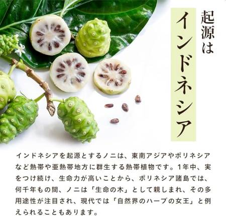 Seedcoms Noni capsule Noni extract