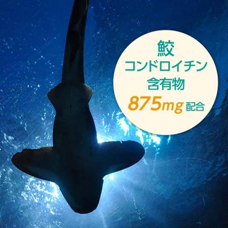 FINE JAPAN Shark Cartilage Extract, for 52 days - Buy certified Japanese Health Supplements | 36Best Kawai FINE JAPAN Shark Cartilage Extract, for 52 days