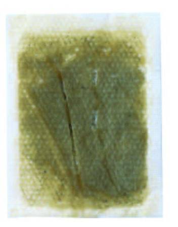 Patch for removing toxins, 30 PCs , Segureto