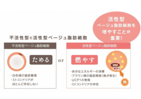 картинка Be-10 Meso Body & Leg Cream, 150 g магазин одежды и аксессуаров являющийся официальным дистрибьютором в России  Be-10 Meso Body & Leg Cream, 150 g