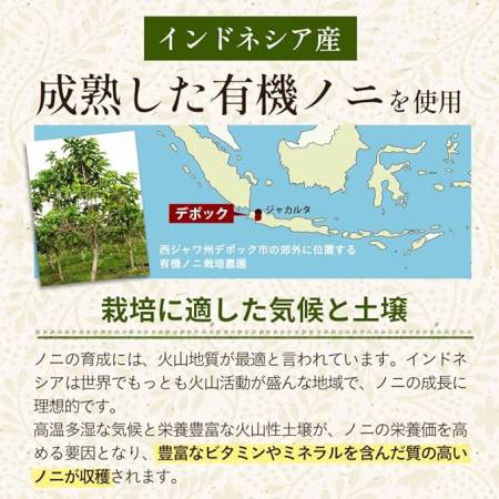 Seedcoms Noni capsule Noni extract