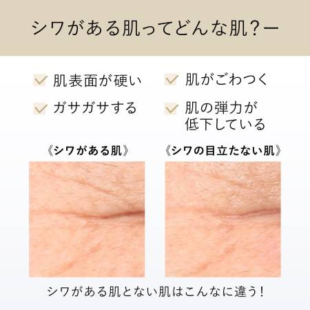 Japanese Skincare - Buy SHISEIDO Elixir Superieur Retinol Power Wrinkle Smoothing Cream L, 22 g Online from Japan | 36Best Kawai SHISEIDO Elixir Superieur Retinol Power Wrinkle Smoothing Cream L, 22 g
