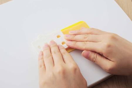 Ernest Set A-76710 the Mold for Bento, Bear