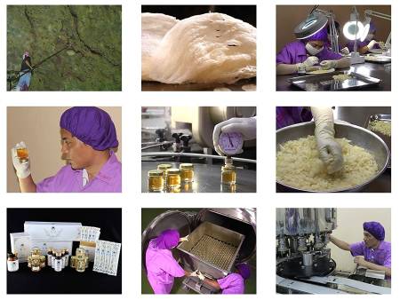 картинка BI-SU Body Cream body Cream with exractor swallow nest 200gr магазин одежды и аксессуаров являющийся официальным дистрибьютором в России  BI-SU Body Cream body Cream with exractor swallow nest 200gr