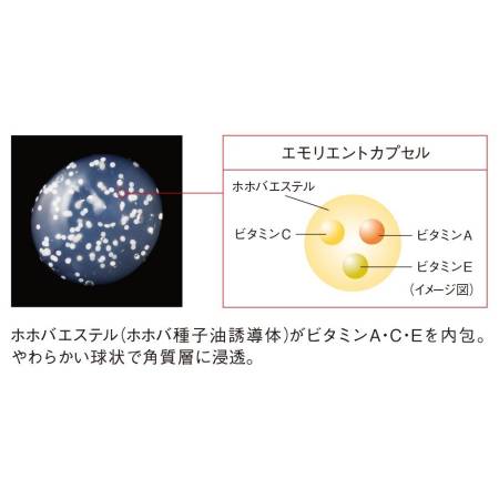 Japanese Skincare - Buy Koh Gen Do Oriental Plants Night Moisture Mask Hydrating gel mask, 40gr Online from Japan | 36Best Kawai Koh Gen Do Oriental Plants Night Moisture Mask Hydrating gel mask, 40gr