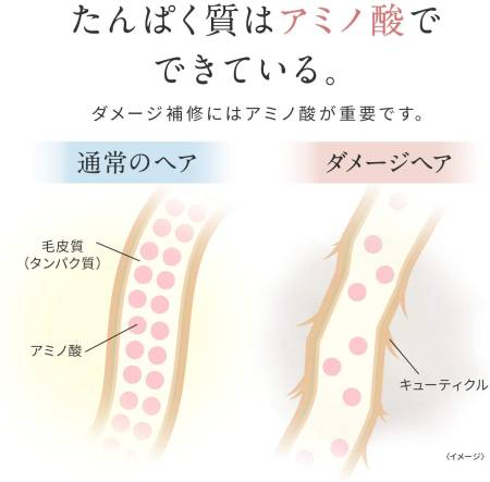 картинка LUX Hair Supplement Deep Care Treatment Mask, 170 g магазин одежды и аксессуаров являющийся официальным дистрибьютором в России  LUX Hair Supplement Deep Care Treatment Mask, 170 g