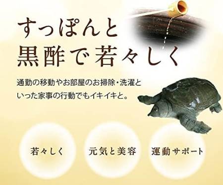 Seedcoms Turtle Black Vinegar to strengthen health and immunity, for 1 month - Buy certified Japanese Health Supplements | 36Best Kawai Seedcoms Turtle Black Vinegar to strengthen health and immunity, for 1 month