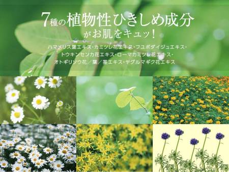 Japanese Skincare - Buy Cure Moist Serum Lotion Moisturizing Lotion-Serum for the face, 180ml Online from Japan | 36Best Kawai Cure Moist Serum Lotion Moisturizing Lotion-Serum for the face, 180ml