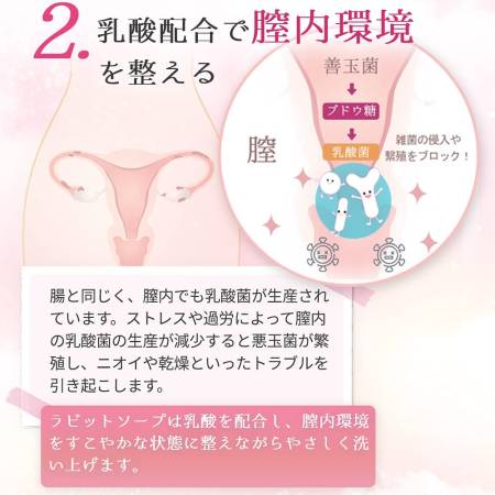 Rabbit Soap Delicate Care Perfumed Intimate Soap, 120 ml