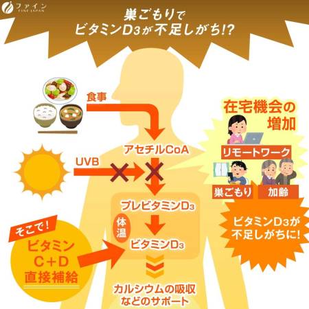 FINE JAPAN Vitamin C + D Complex of vitamins, for 1 month