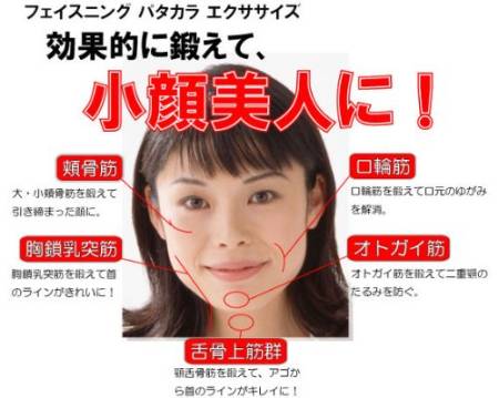 картинка Patakara Premium Facial Muscle Trainer магазин одежды и аксессуаров являющийся официальным дистрибьютором в России  Patakara Premium Facial Muscle Trainer