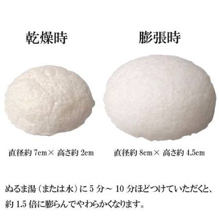 Japanese Skincare - Buy Makanai the KONJAK Sponge for washing Online from Japan | 36Best Kawai Makanai the KONJAK Sponge for washing
