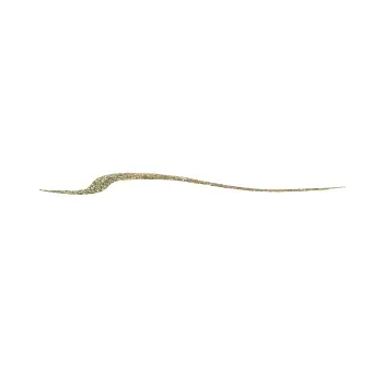 Addiction liquid Eyeliner Liquid eyeliner, tone  002 Olive Glitz Addiction liquid Eyeliner Liquid eyeliner, tone  002 Olive Glitz