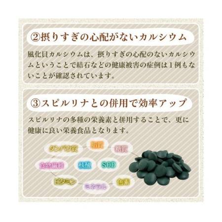 ALGAE Spirulina with calcium, 1200 pcs for 30 days