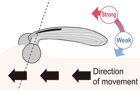 MTG Refa Carat Ray Face Lifting facial massager RF-RF2121B