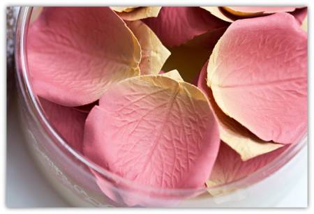 картинка Les Merveilleuses de Laduree Face Color Rose Laduree Blush магазин одежды и аксессуаров являющийся официальным дистрибьютором в России  Les Merveilleuses de Laduree Face Color Rose Laduree Blush