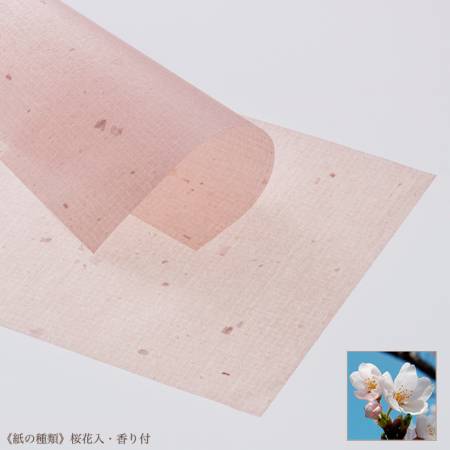 картинка HAKUICHI Oil Control Paper Sakura, 30 sheets магазин одежды и аксессуаров являющийся официальным дистрибьютором в России  HAKUICHI Oil Control Paper Sakura, 30 sheets