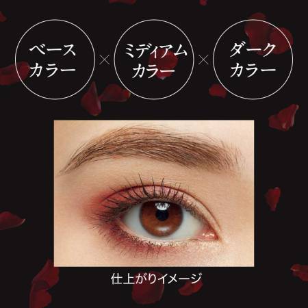 KANEBO KATE Dark rose shadow