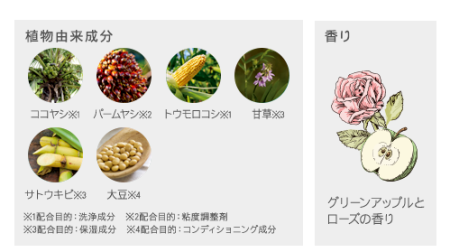 BOTANIST Botanical Treatment (Smooth), Apple & Berry Treatment for dry and curly hair