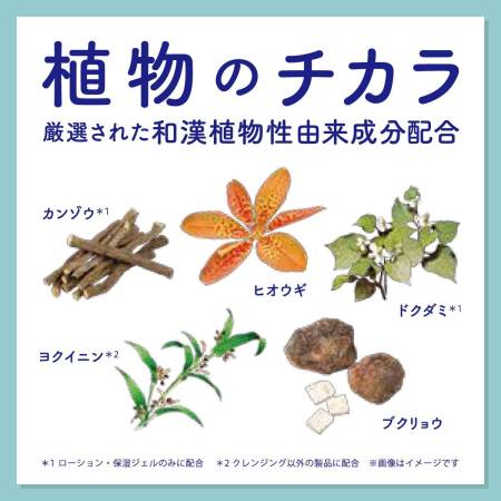 Acnes Labo Dr. AI Lotion Therapeutic lotion for face anti acne 150ml