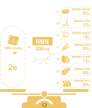 NMN Renage GOLD 12000 Infinity Power Rejuvenating agent with nicotinamide - Buy certified Japanese Health Supplements | 36Best Kawai NMN Renage GOLD 12000 Infinity Power Rejuvenating agent with nicotinamide