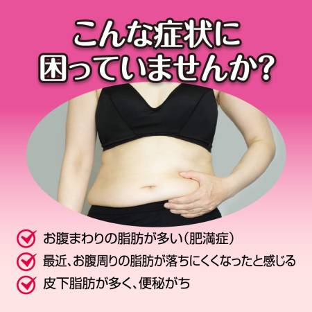 ROHTO BOFUTSUSHYOSAN ZII thin waist