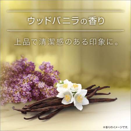 AXE Fragrance Body Soap Gold Men Shower Gel with Woody Vanilla Scent, 400 g