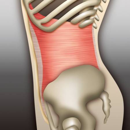 картинка MTG SIXPAD Shape Suit Training Gear Belt for waist training магазин одежды и аксессуаров являющийся официальным дистрибьютором в России  MTG SIXPAD Shape Suit Training Gear Belt for waist training