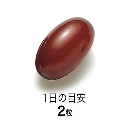 FANCL PS Phosphatidylserine Dementia Prevention Drug - Buy certified Japanese Health Supplements | 36Best Kawai FANCL PS Phosphatidylserine Dementia Prevention Drug