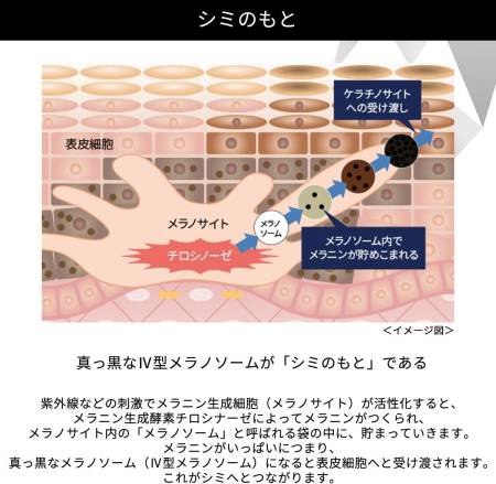 ONE BY KOSE Melano Shot White Brightening Serum 